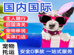 普洱思茅机场快运国际宠物托运 【国